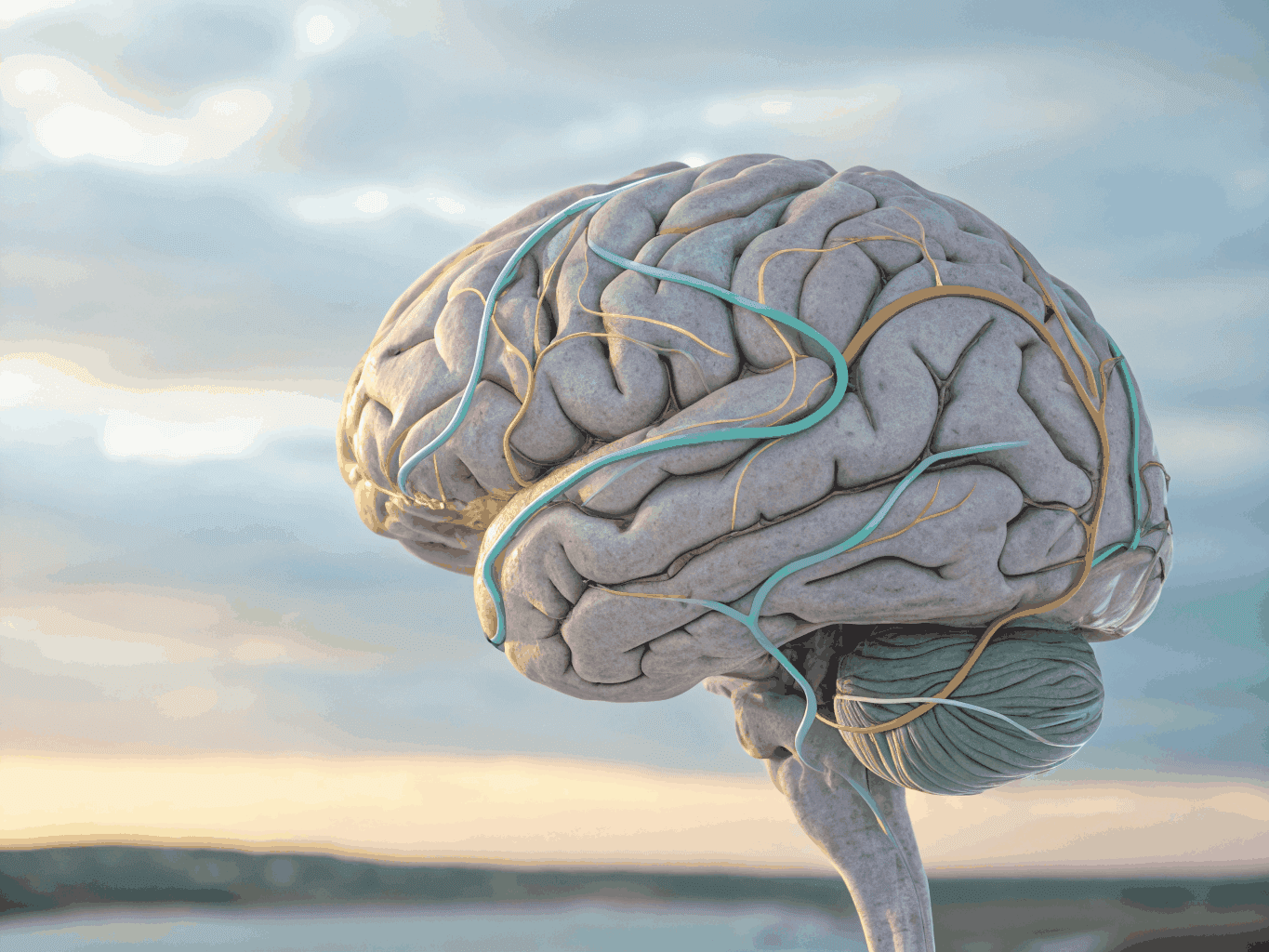 Calm Nervous System Background